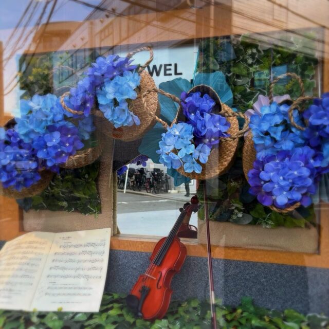 ⚪︎⚪︎⚪︎
🪻今月からディスプレイが変わりました🪻
素敵なバイオリンは山響楽器日吉店さんのご提供です🎻✨有難うございます🩵꙳⋆

今月も元気いっぱい皆様のご来店お待ちしております😌𖤐˒˒ 

#あだち時計店 #日吉 #時計 #メガネ